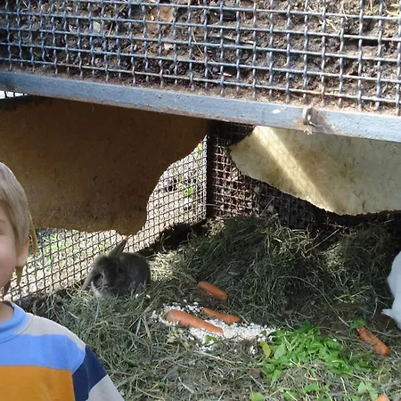 公寓 Amarone Classica *