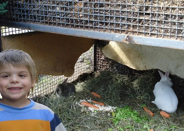 Apartment Amarone Classica *